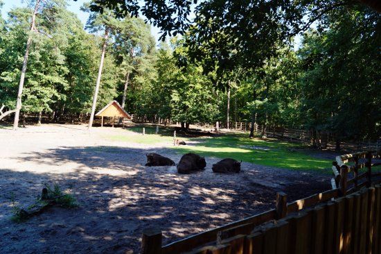 Spacer po Wolińskim Parku Narodowym
